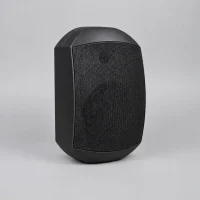 اسپیکر دیواری مدل SPG43 در جنیوس کالا به رنگ مشکی