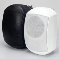 اسپیکر دیواری 80 وات مدل SPG53 با طراحی مناسب نصب روی دیوار