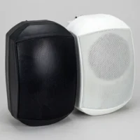 اسپیکر دیواری 100 وات مدل SPG63